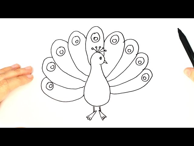 How to draw a Peacock | Peacock Easy Draw Tutorial دیدئو dideo