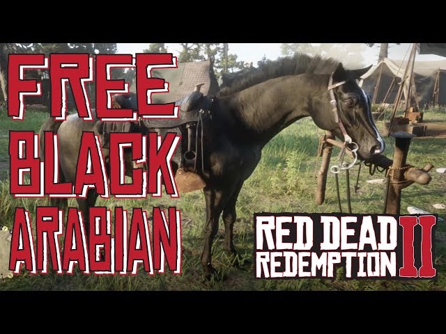 Uenighed maskinskriver grill How to Get The Free Black Arabian Horse in Chapter 2 Red Dead Redemption 2  دیدئو dideo
