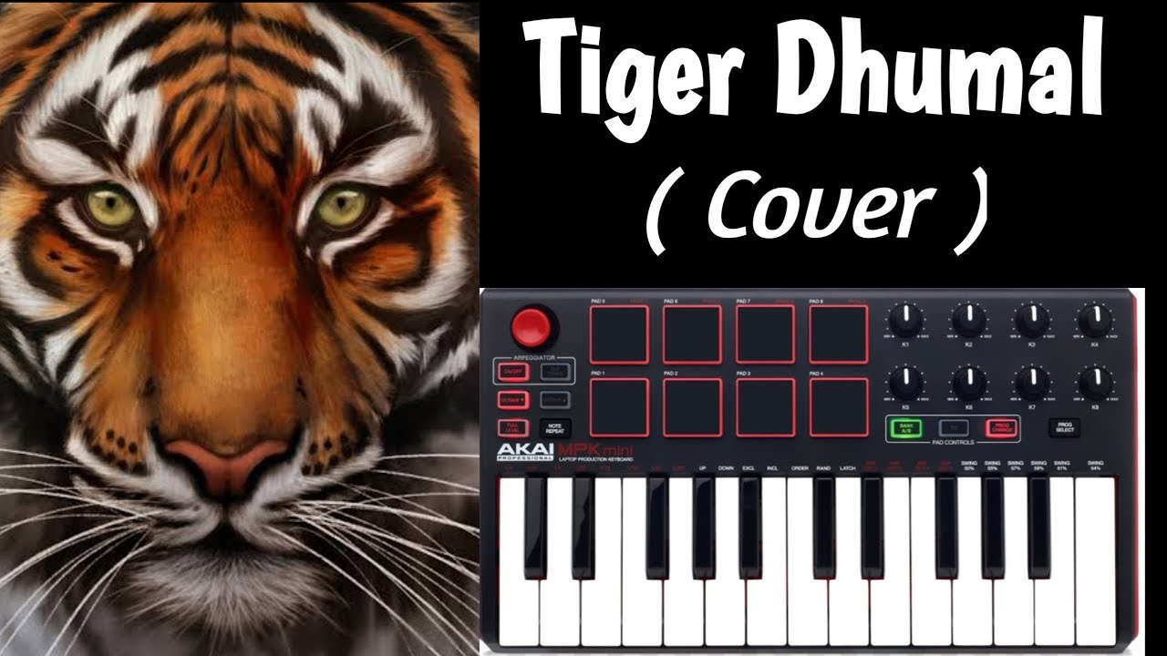 Tiger Dhumal Banjo Full Dhamaal ( Cover ) دیدئو dideo