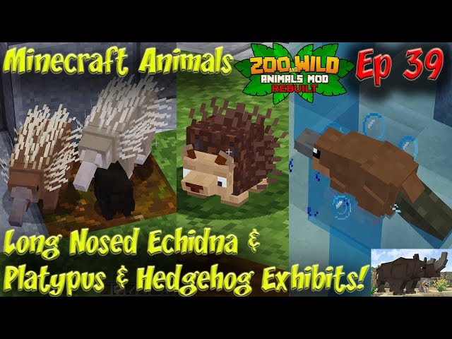 Echidna Platypus Hedgehog Exhibits Minecraft Animals 60FPS Animals in  Minecraft Ep39 دیدئو dideo