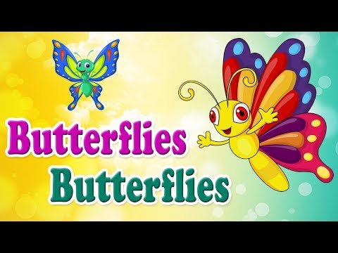 Butterflies Butterflies I Nursery Rhymes I Kids I Songs I Cartoon I  Animation دیدئو dideo