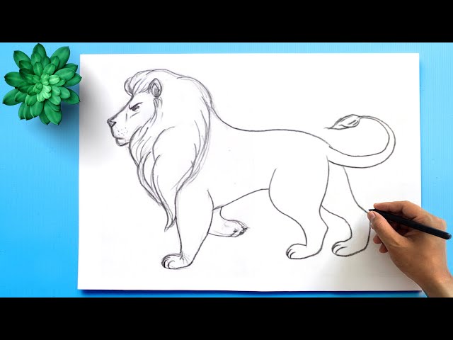 How to Draw a Lion Easy Step by Step || Lion Drawing دیدئو dideo