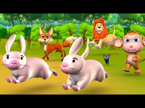 The Lion & Two Rabbits 3D Animated Hindi Moral Stories for Kids शेर और दो  खरगोश कहानी Fairy Tales دیدئو dideo