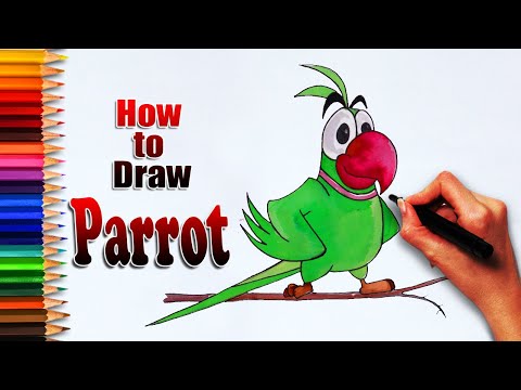 How to Draw parrot | parrot drawing | Easy drawing دیدئو dideo