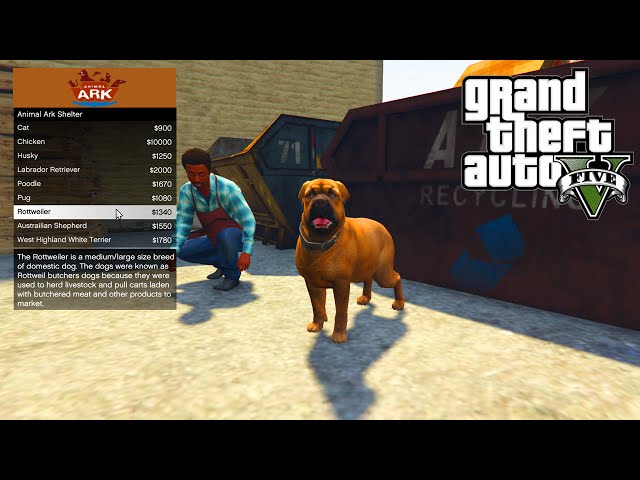 GTA 5 PC Mods - ANIMAL PET SHOP MOD!!! - GTA 5 Pet Mod w/ Wildlife  Bodyguard Pets! دیدئو dideo