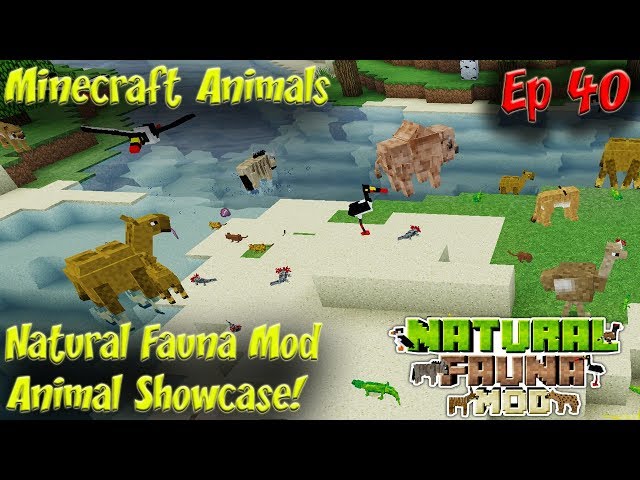 Natural Fauna Mod Animal Showcase  A ZAWA Mod Addon HD 31 Minecraft  Animals Ep40 دیدئو dideo