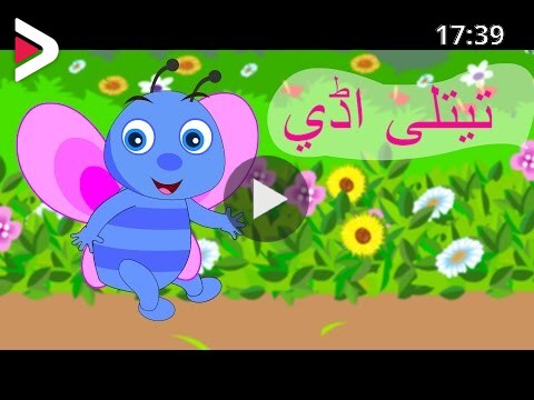 Titli udi bus pe chadi | تیتلی اڈي بس پہ چڑھی | Urdu Rhymes Collection for  Kids دیدئو dideo