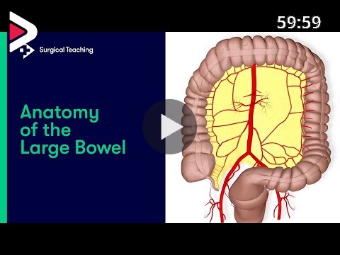 Anatomy of the Large Bowel دیدئو dideo